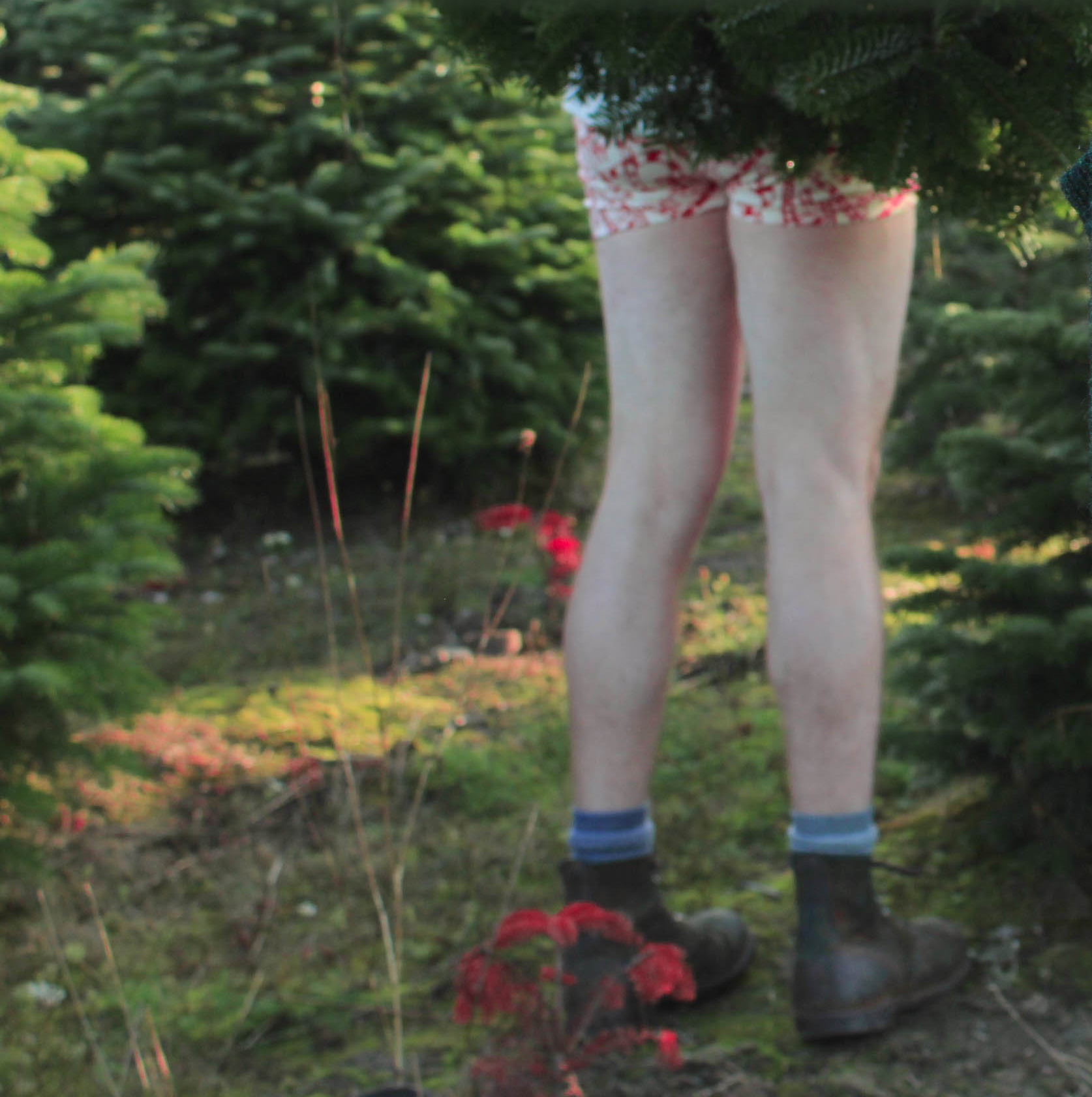 Model's legs wearing Candy Cane Boxers oking out from under a pine tree