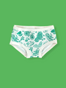 White low-rise briefs with a green botanical and bicycle pattern, shown against a solid green background.