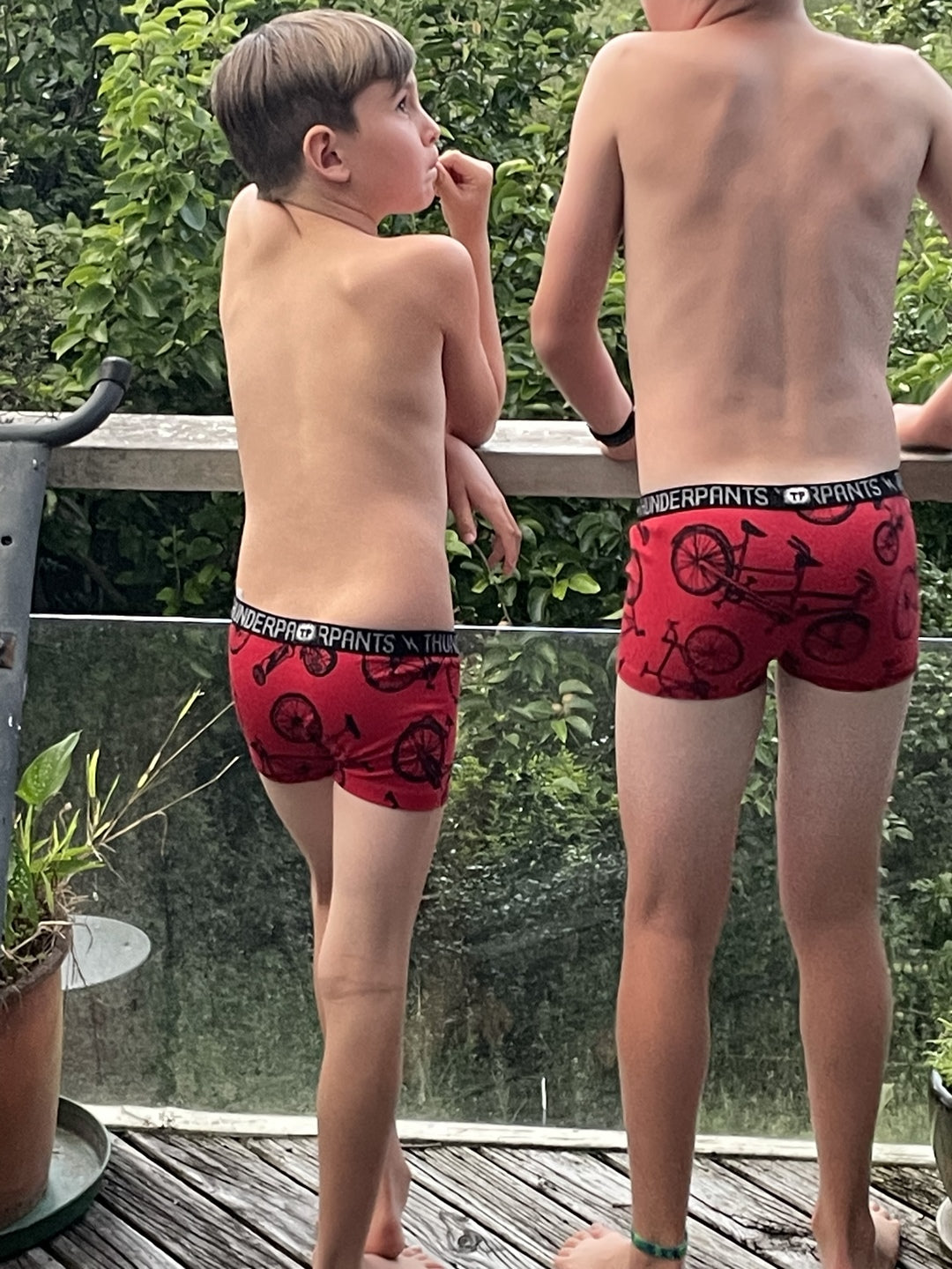 Kids in Red Bikes Boxers in bush setting