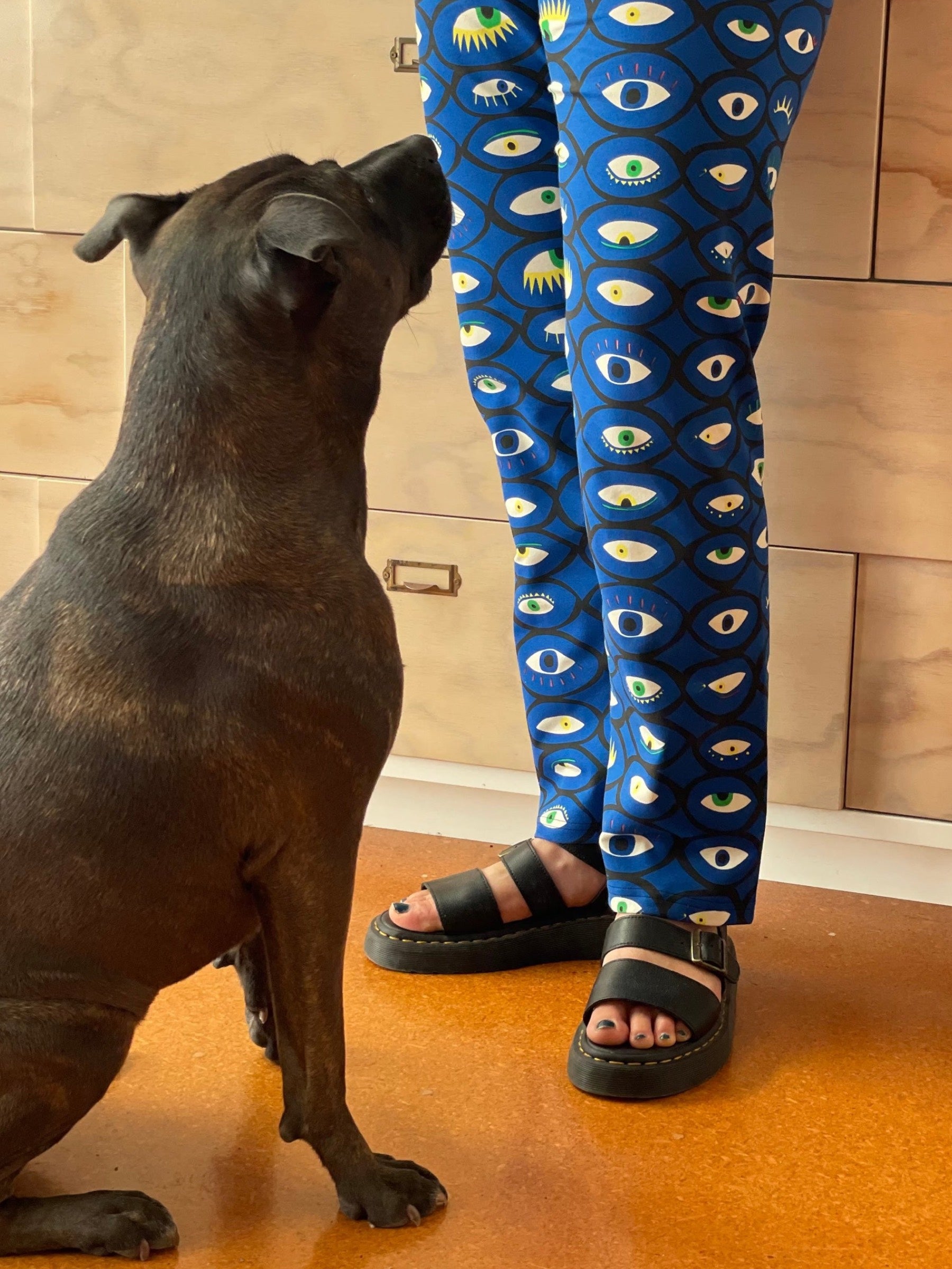 Eyes Print Straight Leg Pants on person next to a dog