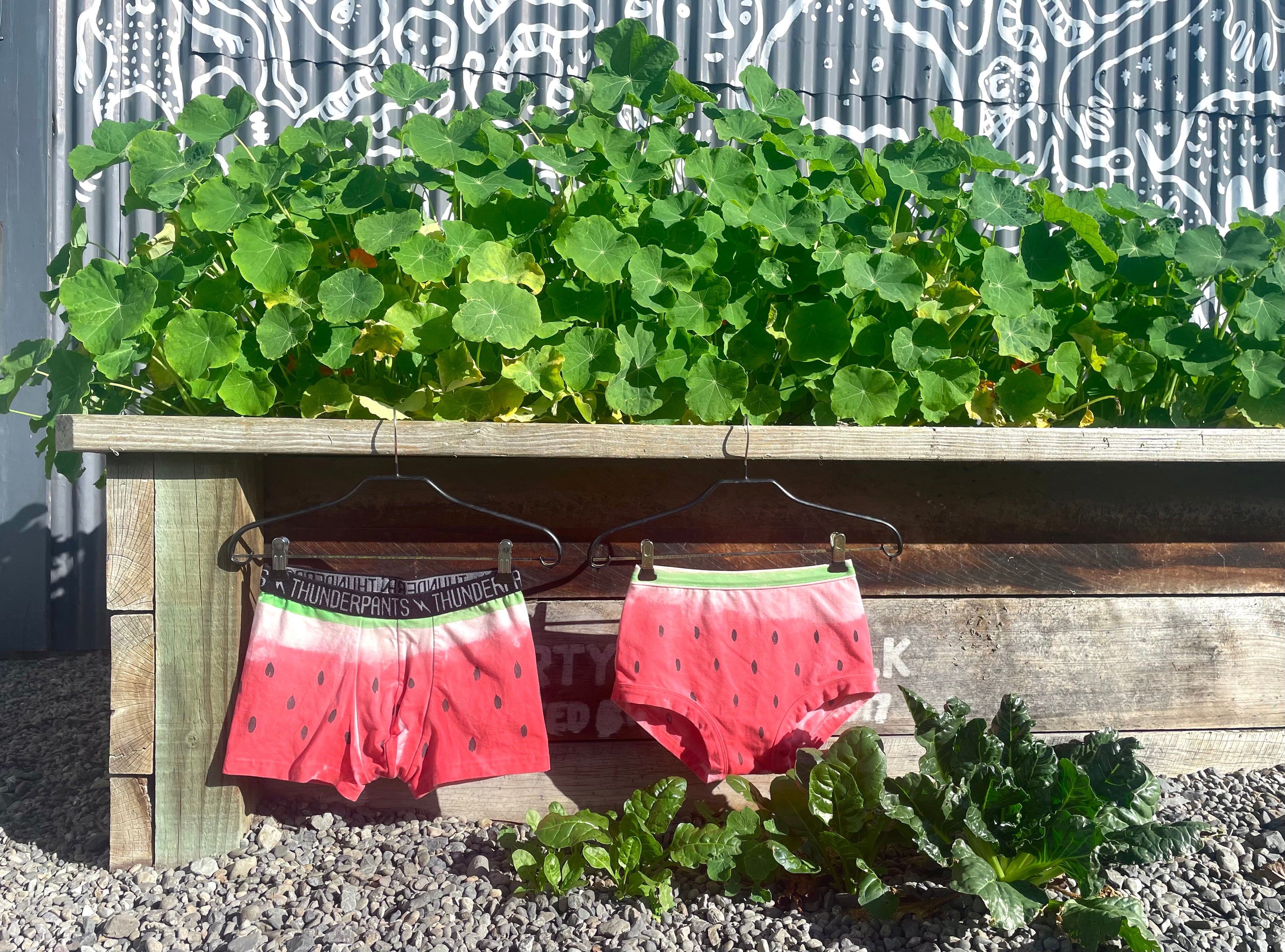 Watermelon pants hanging infront garden boxes