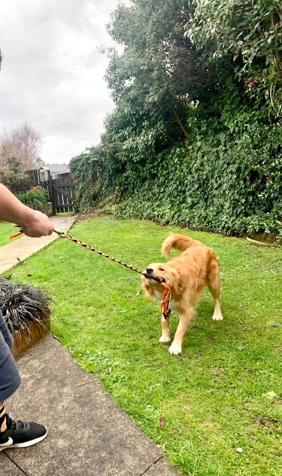 Bundle O' Ties made into dog toy